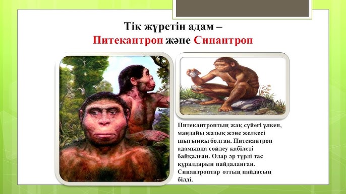 Қонақтар келіннің ішіне кезек-кезек кіріп отырады