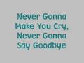 Ashley Tisdale - Never Gonna Give You Up