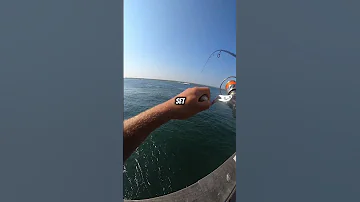 Long Island NY PIER FISHING 