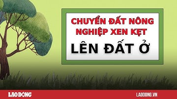 Điều kiện chuyển đất xen kẹt thành đất ở mới nhất | Báo Lao Động