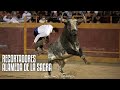 😱 ¡IMPRESIONANTES TOROS! · 🏆 RECORTADORES EN ALAMEDA DE LA SAGRA 2021