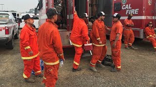 ... more than 500 inmates worked alongside firefighters in shasta
county, an effort to extingu...