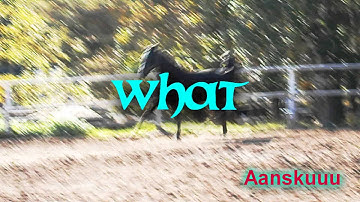 TheviivIHQ:lle part 6