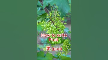 Lesson 14. How to write Fruit in Chinese. #learnchinese #freemandarinchinese #everydaychinese