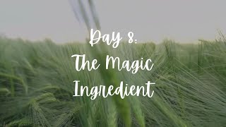 The Magicday 8 Magic Ingredient