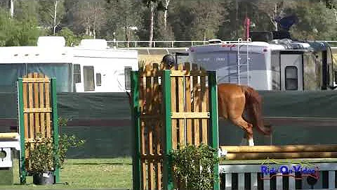1086 Amy Brubaker on Convaro 1 Schooling Hunters 3...