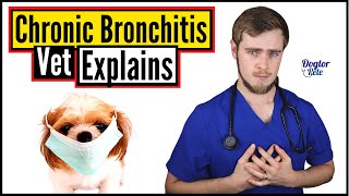 What Is The BEST Way To Treat A Dog With Chronic Bronchitis? | Vet Explains