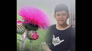 Duri dalam duka