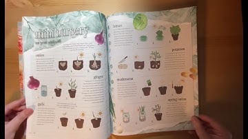 Daphnes Diary Issue One 2022 Flip-Through