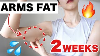 Slim Arms in 2 weeks - Beginner Friendly Sitting exercise