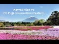 Vlog of our trip to the Fuji Shibazakura Festival. (Moss Phlox)