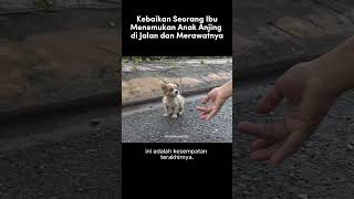 Kisah Haru Anak Anjing Yg Terlantar di Jalan Di Pungut Seorang Ibu#kisahharu #kisahinspiratif