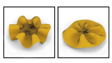 Rhino Grasshopper (Surface Differential Growth)