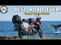 Canada’s Ultimate Motorcycle Ride – Gaspé Route 132 &amp; Whales | Tiger Coward Moto Rides