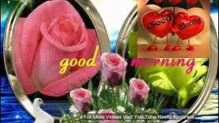 Sms,Sayings,Quotes,E-card,Wallpapers,Good Morning Whatsapp video
