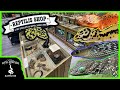 Touring an awesome reptile shop in france reptilis shop