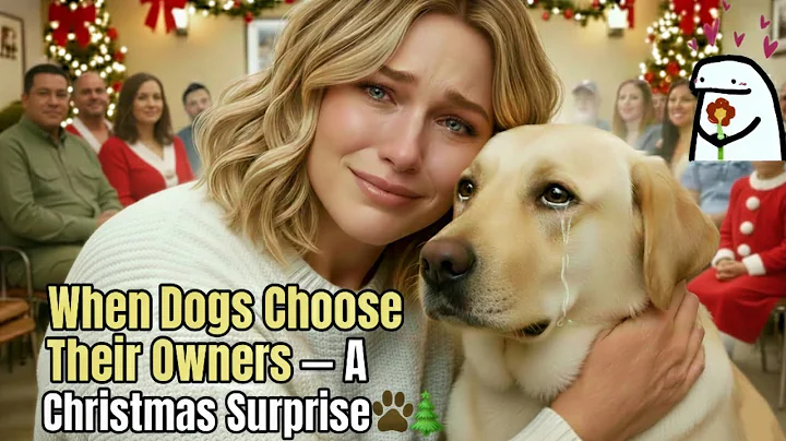 When Dogs Choose Their Owners — A Christmas Surprise 🐾🎄