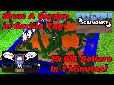 I Got 15.8 Million Dollars On Agrimonke In 1 Minute! P1