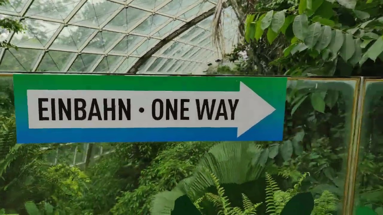 Regenwaldhaus Dschungel Wald Tierpark Zoo Vienna Tiergarten Schönbrunn Rundgang Tiere Tier Überblick