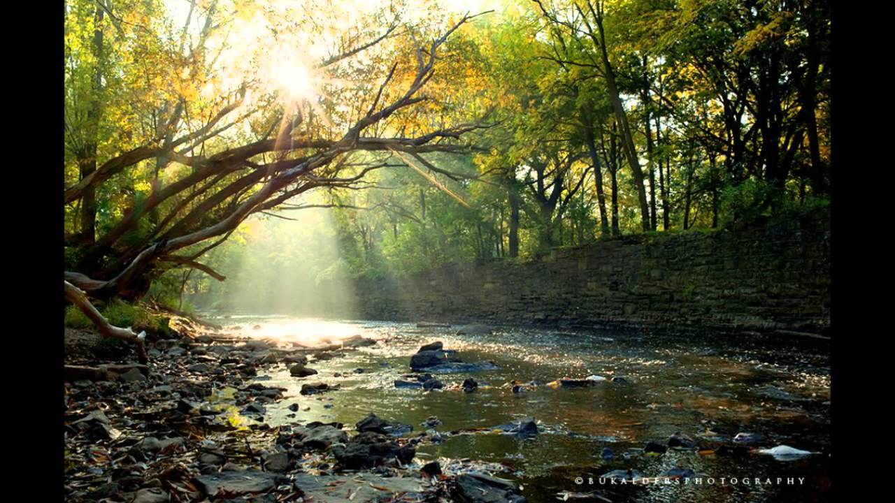 Autumn captured by Clickin Moms members