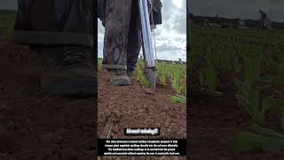 Manual Seedling Transplanter for Efficient Farming !! #innovation #tools #ideas