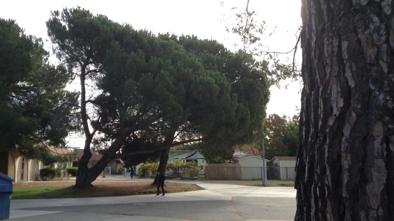 Solano Community College: California, Views video#; trường ở Mỷ