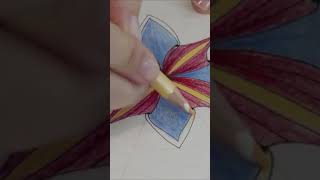 How To Draw Stella Tangle Pattern In Coloured Mandala