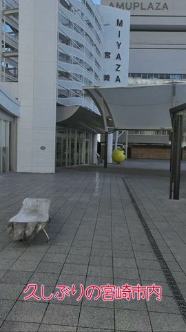 【宮崎市内探索】宮崎にも3Dビジョンが… #shorts