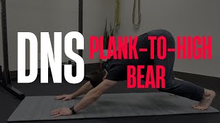 DNS Plank-to- High Bear