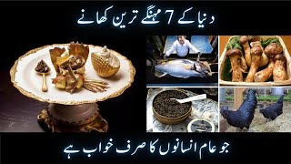 World's Most Expensive Food Only Rich People Can Afford