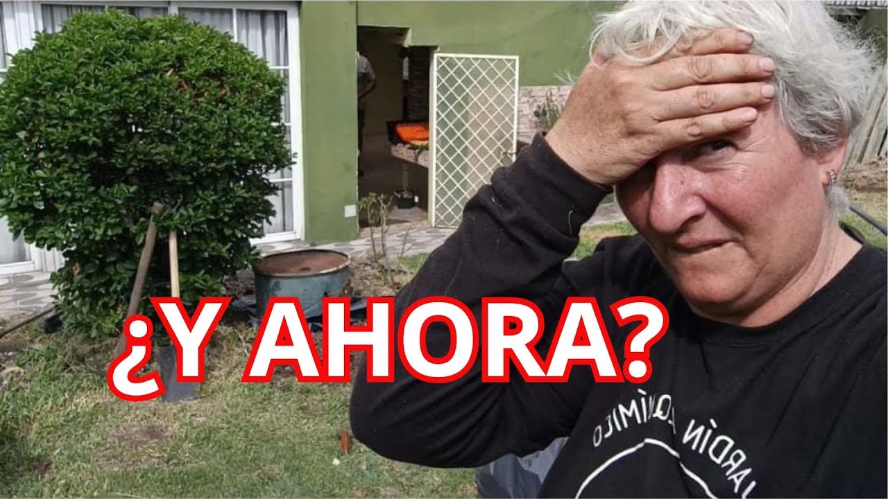 Reciclar el jardín: suculentas y piedras (paso a paso)