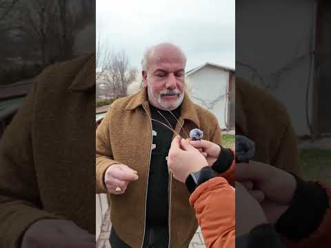 Türkiye’de Olmayan Güvercin Kümesi! #oyunkuşu #horoz #tavuk