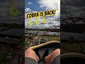 Cobra back open! | Paultons