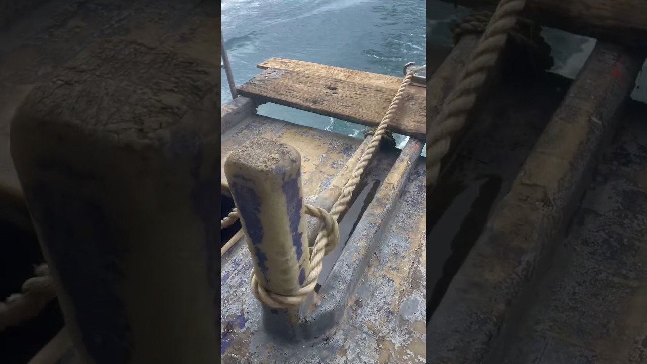 ANCHOR ⚓ | The Secret to Staying Calm in Any Storm 🌪️🖤