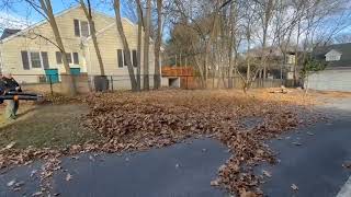Backpack Blower Showdown - Stihl Magnum 800C vs ECHO 9010