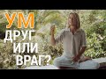 Как Использовать Ум по Назначению? Сделай Ум Своим Другом!