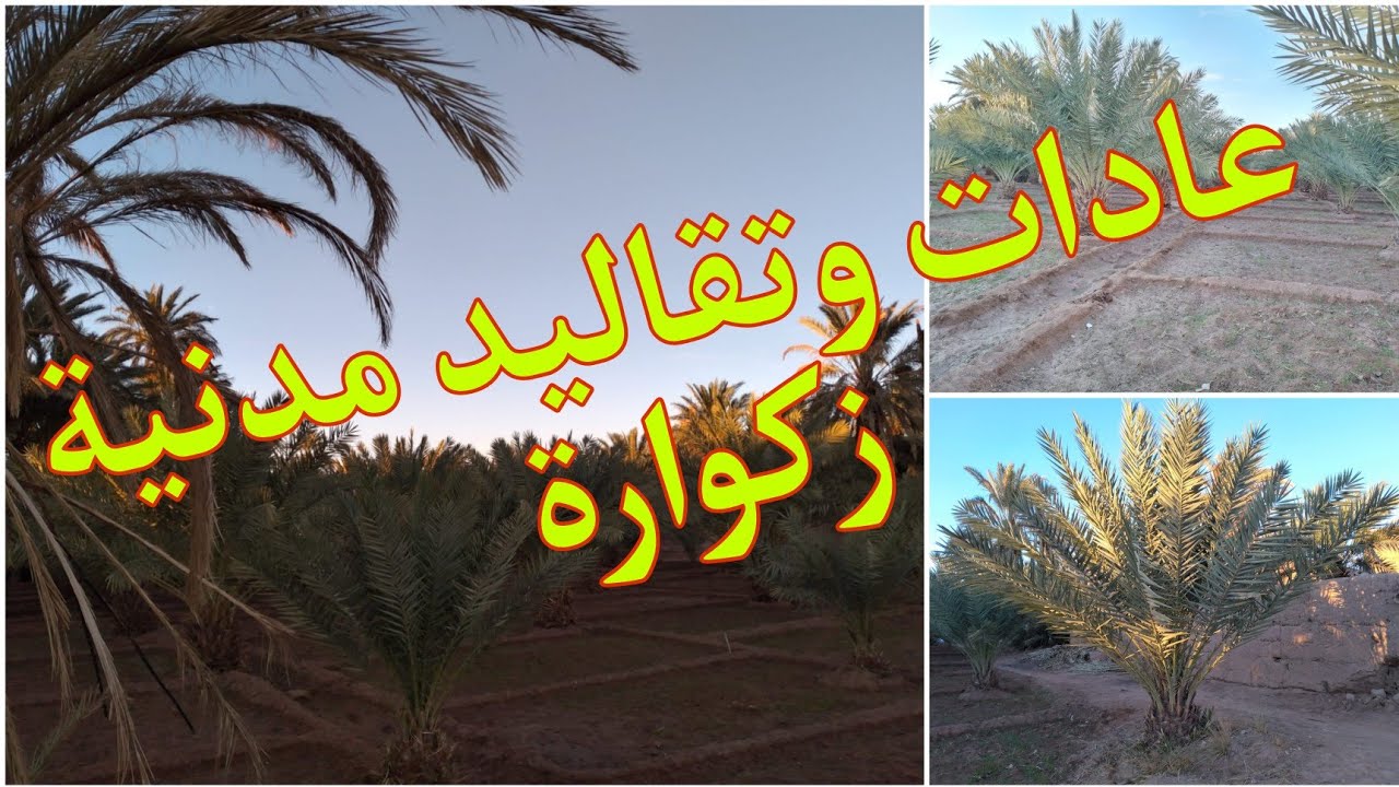 💥جولة في مدينة زاكورة ⛰️وروعة 💐مناظر طبيعية🌴 خلابة عشاق واحات🏝 النخيل وفخار تمكروت🏺