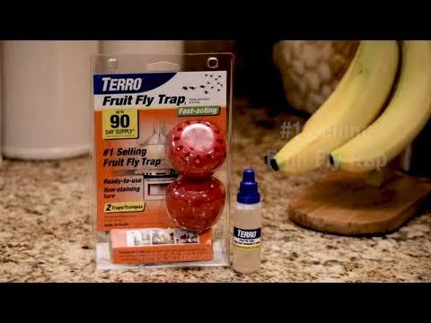 TERRO Fruit Fly Traps - 2 Pack