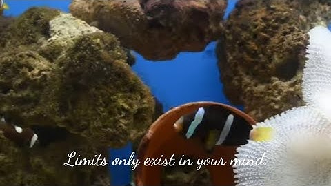 No point in stressing over something you can