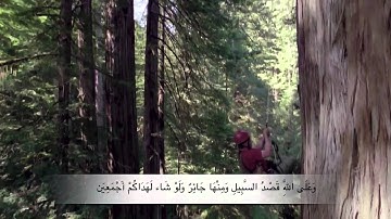 قراءة رائعة من سورة النحل - عبدالعزيز التركي
