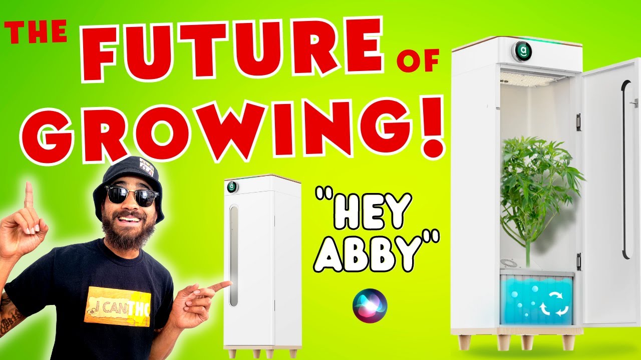 Hey abby Automated Grow Box 420 Edition