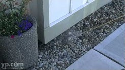 Termite Exterminators Kent WA Sound Pest Management 