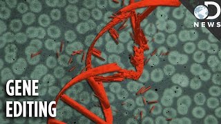 Engineers Made Fake DNA To Fix Genetic Disorders Engineers Made Fake DNA To Fix Genetic Disorders