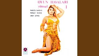 Edirne Çeltikçi Romanı