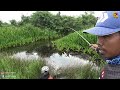 Mancing pakai umpan aneh joran poklek di tarik monster rawa #SG-146