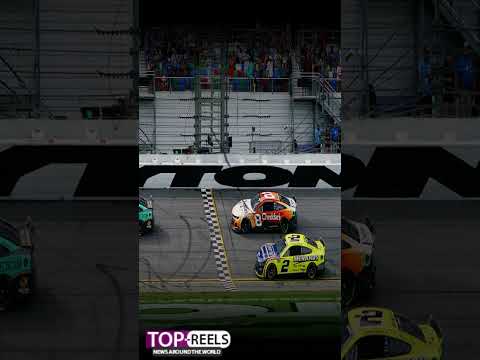 Three littel pigs From FC Spin30 Win4,xxx