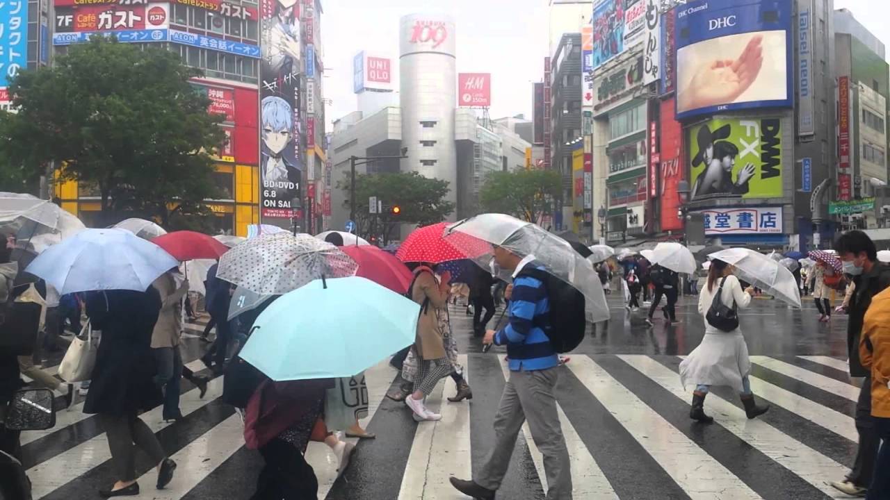 傘をさす という行為が好きだ 365日多趣味な日常