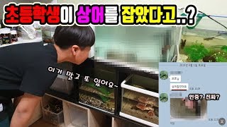 손님께서 "바다상어"를 잡았다고 해서 집에 가보았는데....?? [정브르]