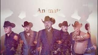 Solido - Anímate (Official Lyric Video)