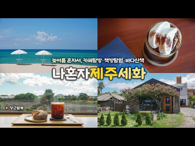 나혼자 제주 세화 여행｜🥕 뚜벅뚜벅 구좌읍, 세화리 여행 ｜걸으며 만난 으뜸 아인슈페너 맛집, 귀여운 소품숍 한가득｜극내향인의 외로워 행복한 혼여행 브이로그｜제주여행 하는사람er